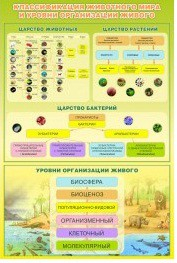 Стенд "Классификация животного мира" - «globural.ru» - Карпинск